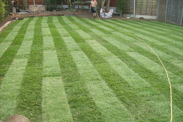 New Garden Lawn in Poynton