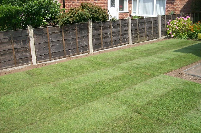 New front lawn in Marple