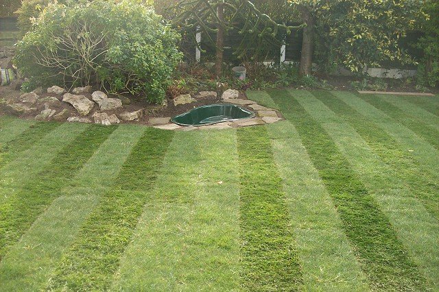 Brand New Garden Lawn in Bramhall